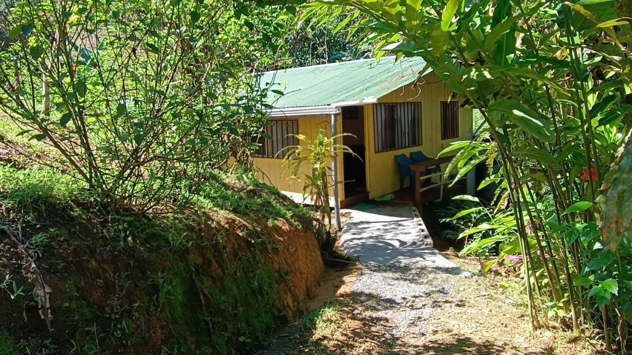 Cabanas Tico Gringo Drakes Bay 外观 照片